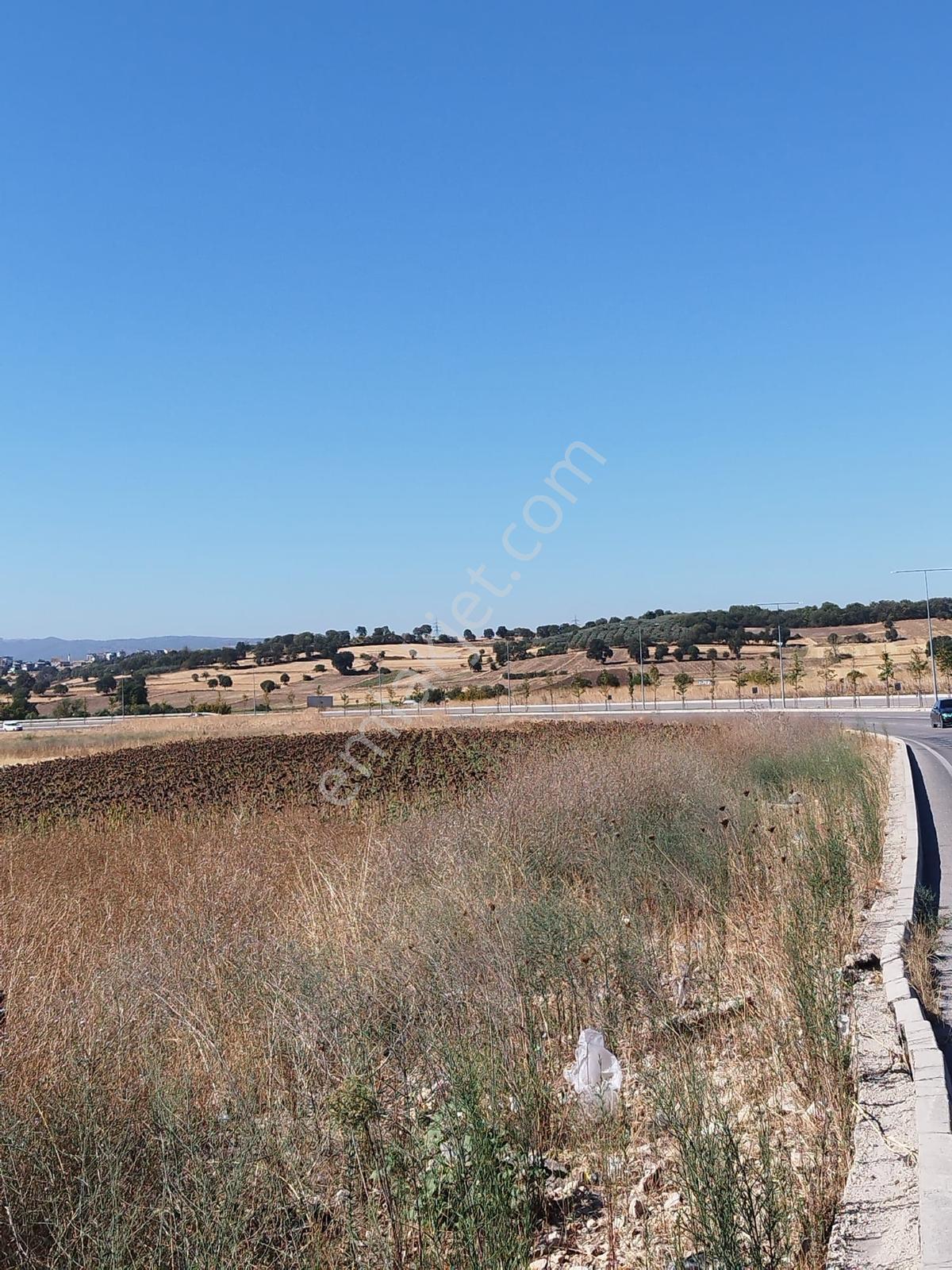 Doğanköy De Yeni Asfalt Yola Cephe (sıfır) 5.600 M2 Köşe Tarla - Görsel 12