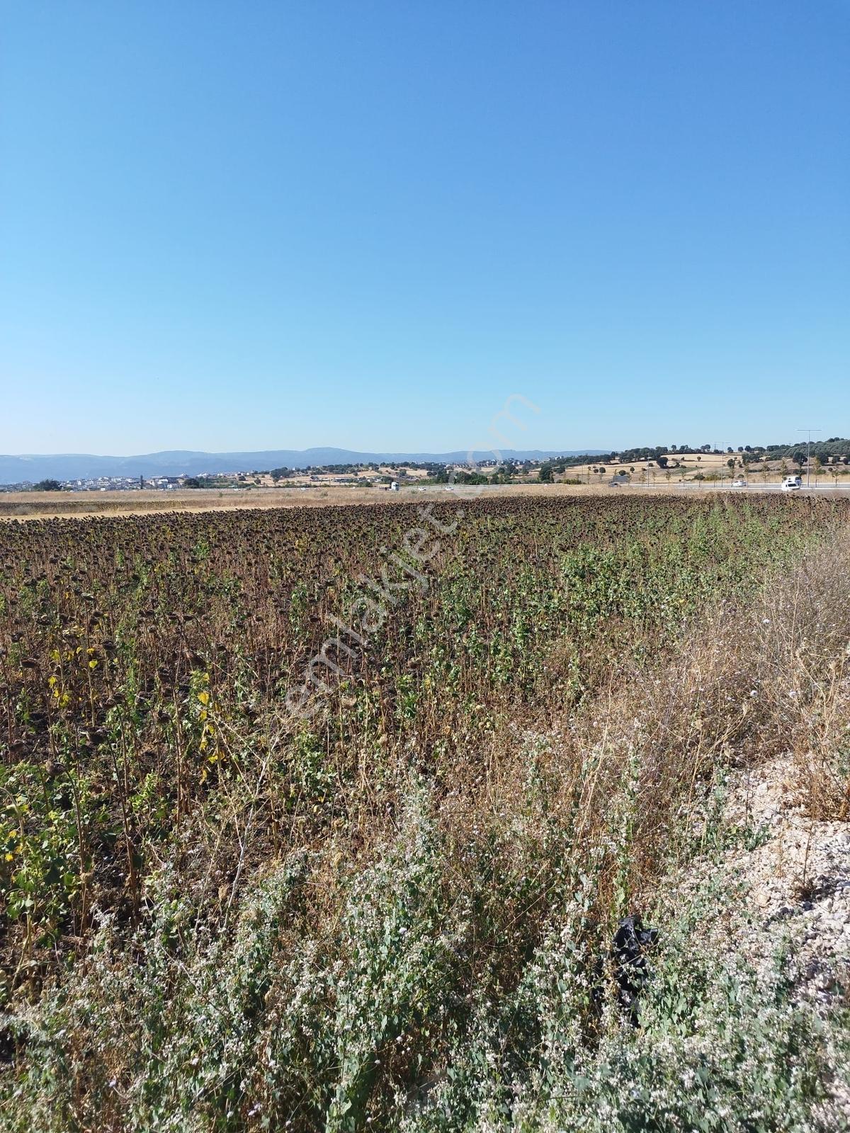 Doğanköy De Yeni Asfalt Yola Cephe (sıfır) 5.600 M2 Köşe Tarla - Görsel 13