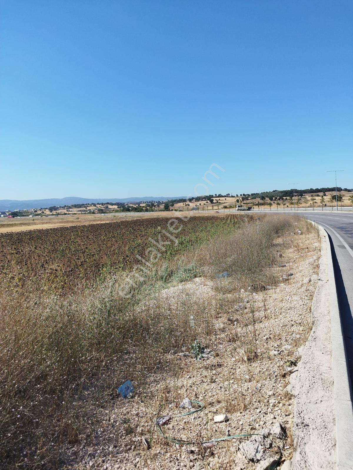 Doğanköy De Yeni Asfalt Yola Cephe (sıfır) 5.600 M2 Köşe Tarla - Görsel 22