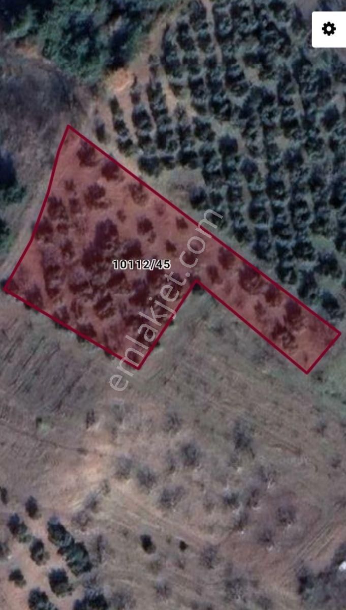 Çağlayan Köyde Satılık 2200 M2 - Görsel 15