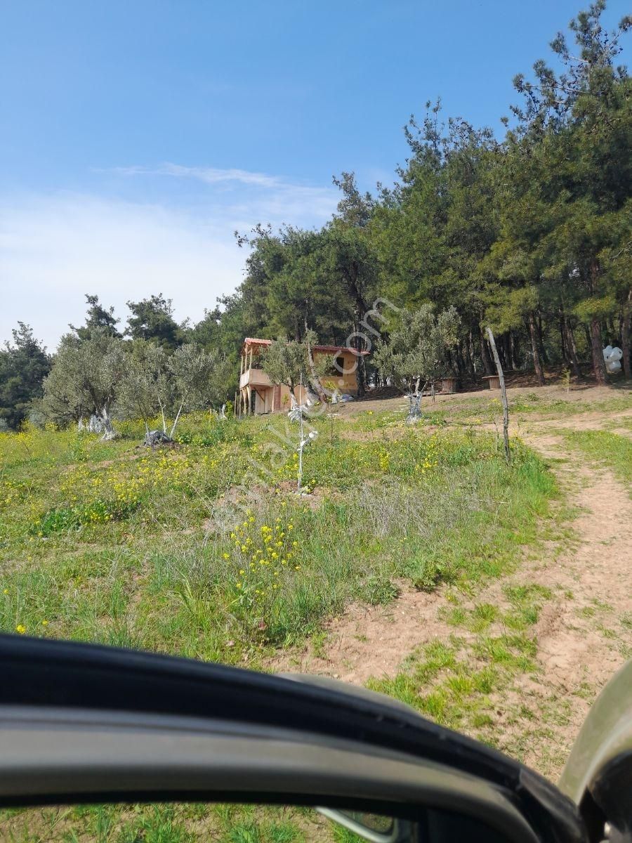 Çağlayan Köyde Satılık 2200 M2 - Görsel 13