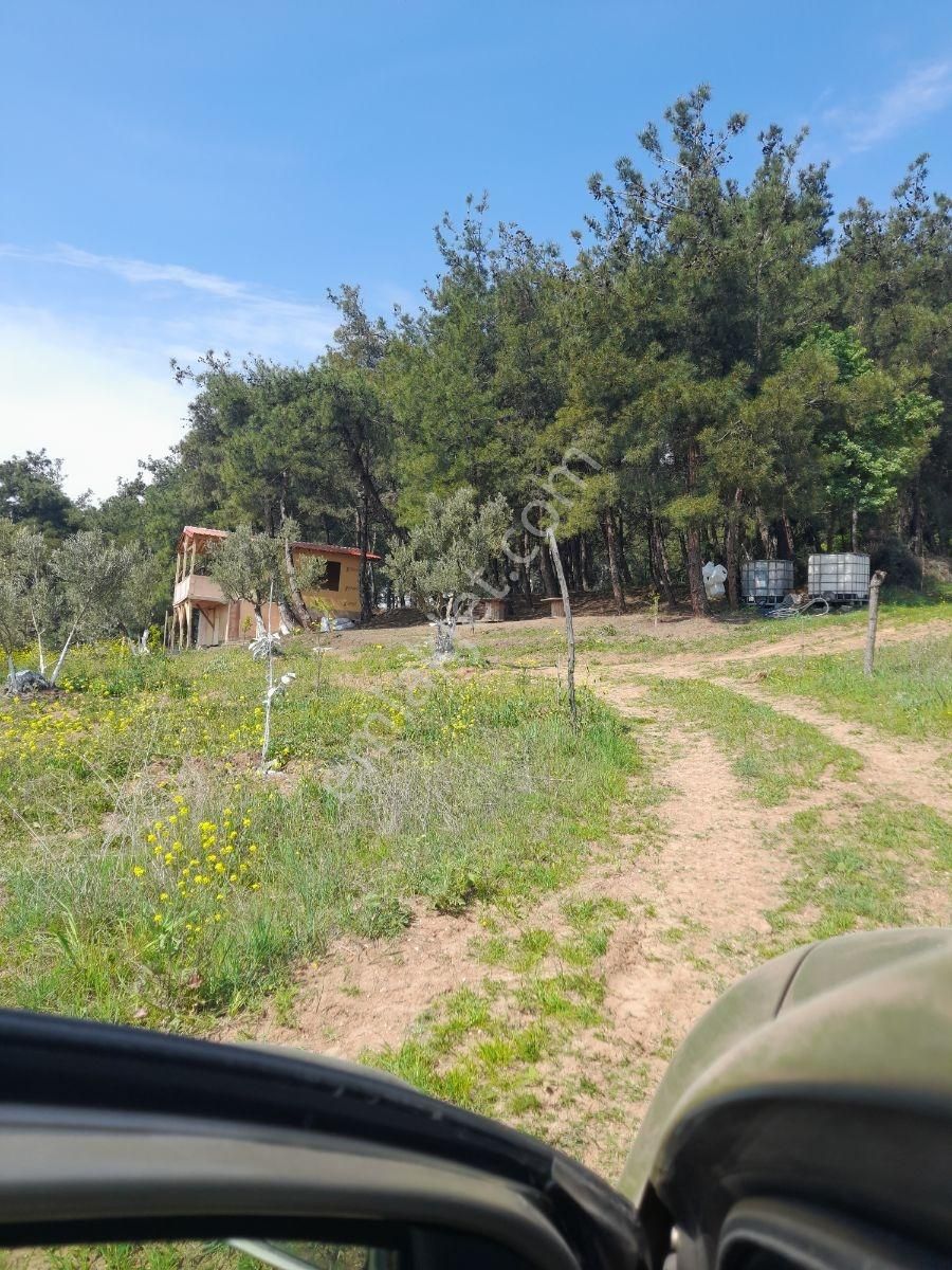 Çağlayan Köyde Satılık 2200 M2 - Görsel 10