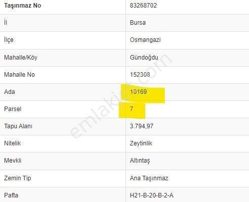Gündoğdu Altıntaş Full Deniz Manzara 7113m2 Yola Cephezeytinlik - Görsel 11