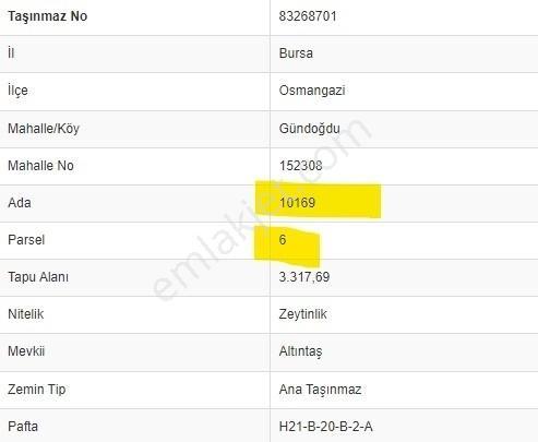 Gündoğdu Altıntaş Full Deniz Manzara 7113m2 Yola Cephezeytinlik - Görsel 2