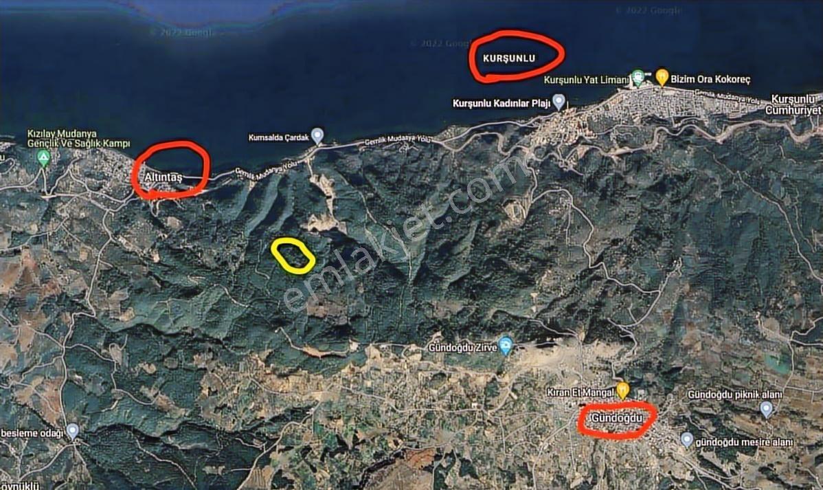 Gündoğdu Altıntaş Full Deniz Manzara 7113m2 Yola Cephezeytinlik - Görsel 3