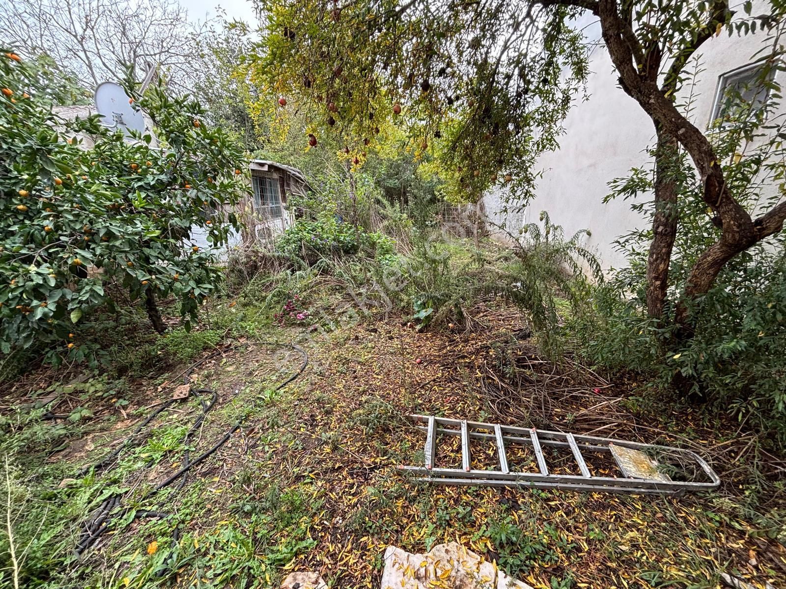 Bursa Mudanya Esence'de 650m2 Müstakil Tapu Zeytinlik - Görsel 6