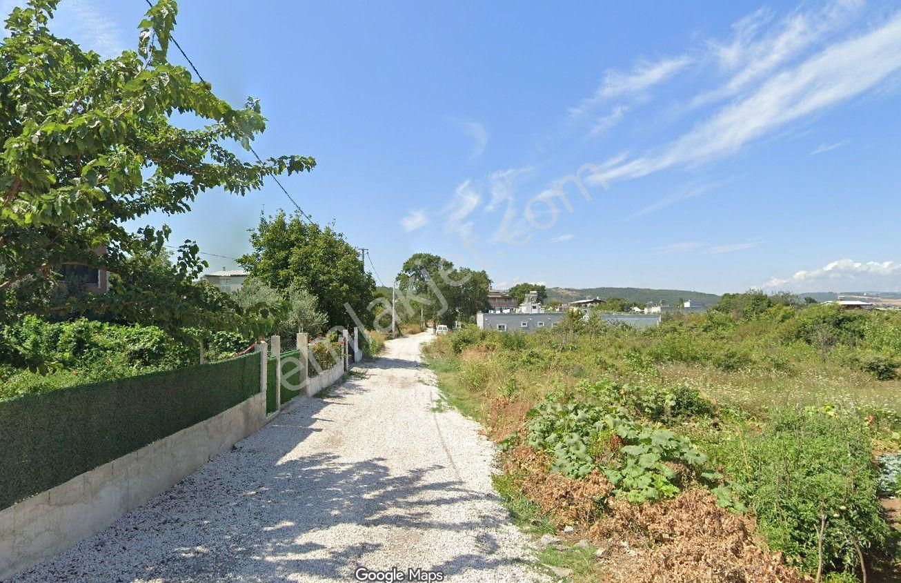 Bursa Mudanya Esence'de 650m2 Müstakil Tapu Zeytinlik - Görsel 7