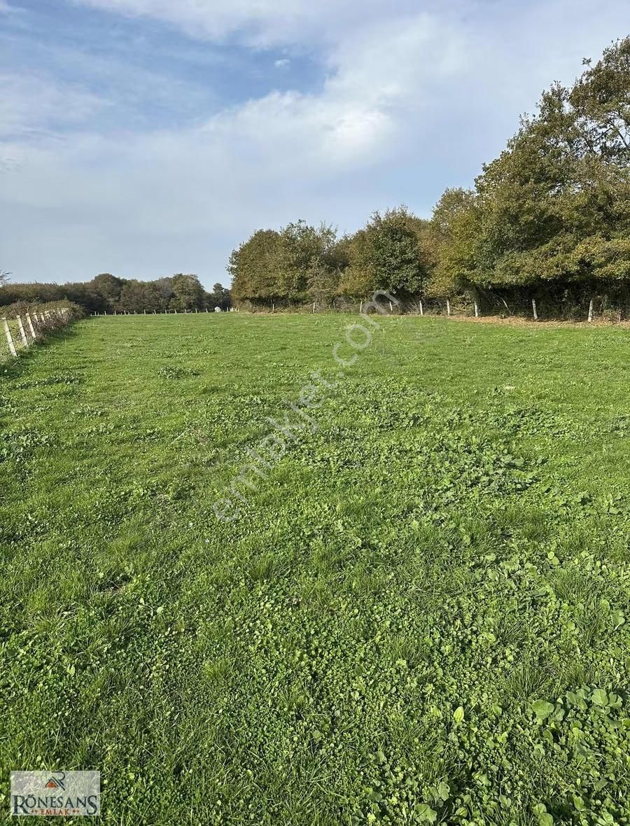 Rönesans Emlaktan - Görsel 10