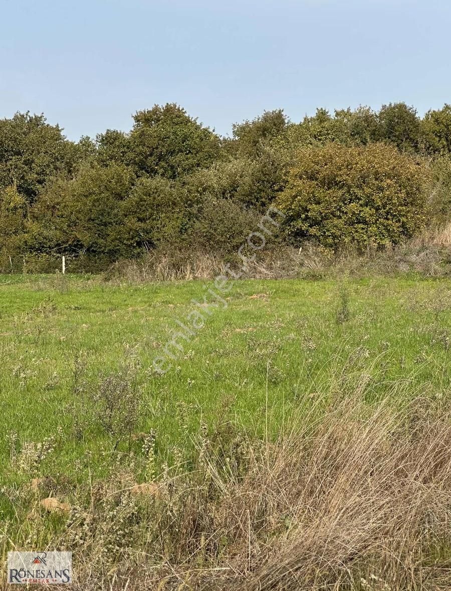 Rönesans Emlaktan - Görsel 16