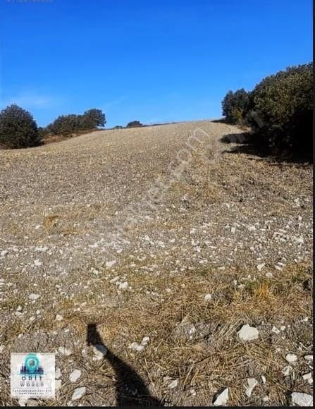 Mera Eco-kent Projesi İçinde İmarlı Arsa - Görsel 3