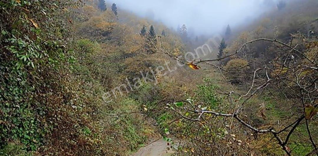Trabzon Gülyurdunda Satılık 12.478m2 Arazi, - Görsel 30