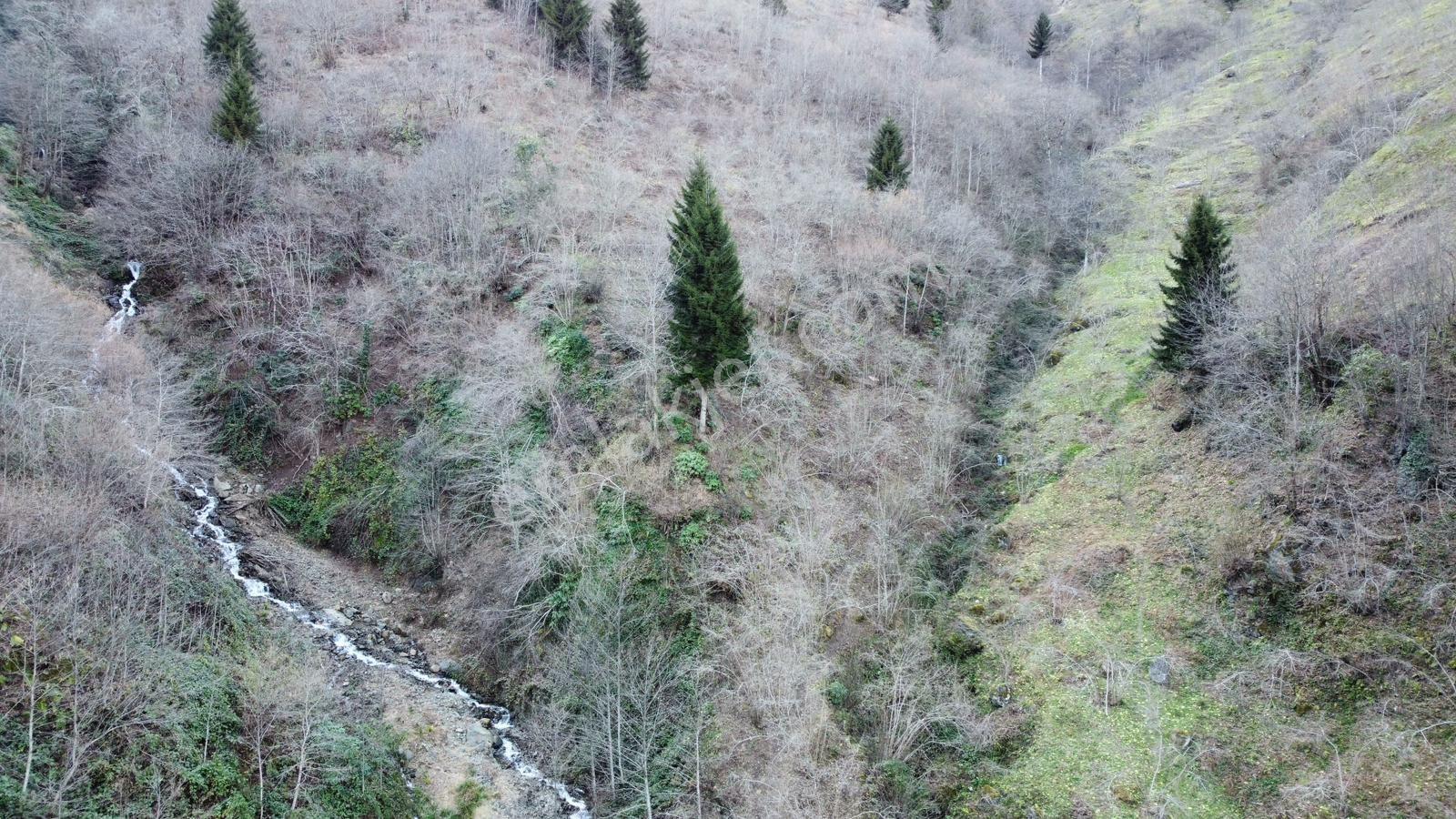 Trabzon Gülyurdunda Satılık 12.478m2 Arazi, - Görsel 20