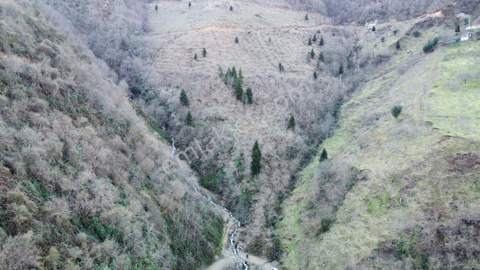 Trabzon Gülyurdunda Satılık 12.478m2 Arazi, - Görsel 17