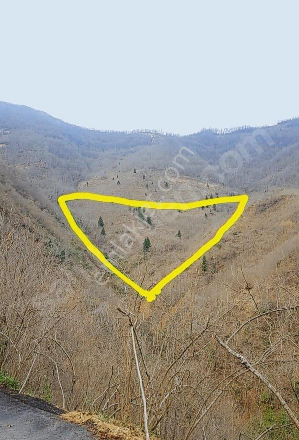Trabzon Gülyurdunda Satılık 12.478m2 Arazi, - Görsel 2