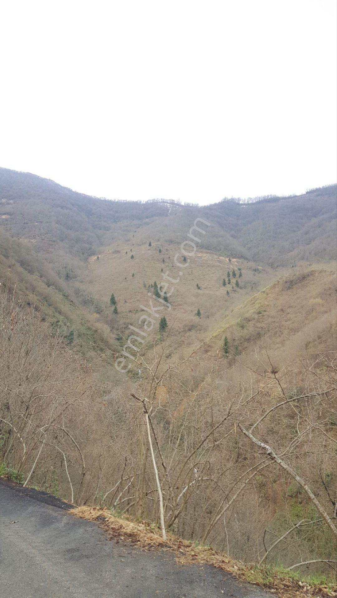 Trabzon Gülyurdunda Satılık 12.478m2 Arazi, - Görsel 5