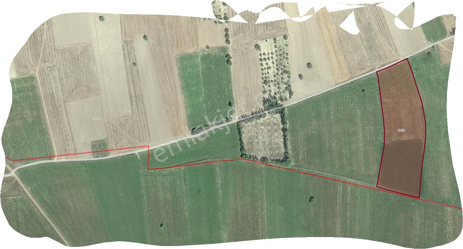 Özpınar,dan Çavuş Köyü Satılık 10 340 M2 Hisseli- Suyu- Yolu Olan Tarla-bahçe - Görsel 6