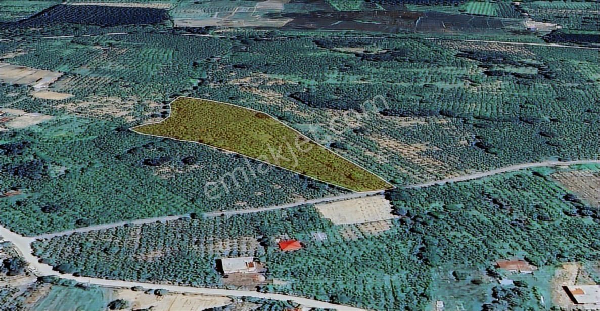 Yg'den Sakarlıda Yeni Mh. 10.818 M2 Fındık Bahçesi - Görsel 3
