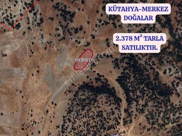 Kütahya Merkez Doğalar Köyünde 2.378 M² Tarla Satılıktır - Görsel 2