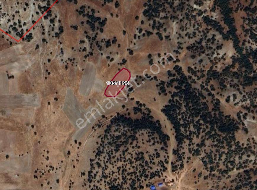 Kütahya Merkez Doğalar Köyünde 2.378 M² Tarla Satılıktır