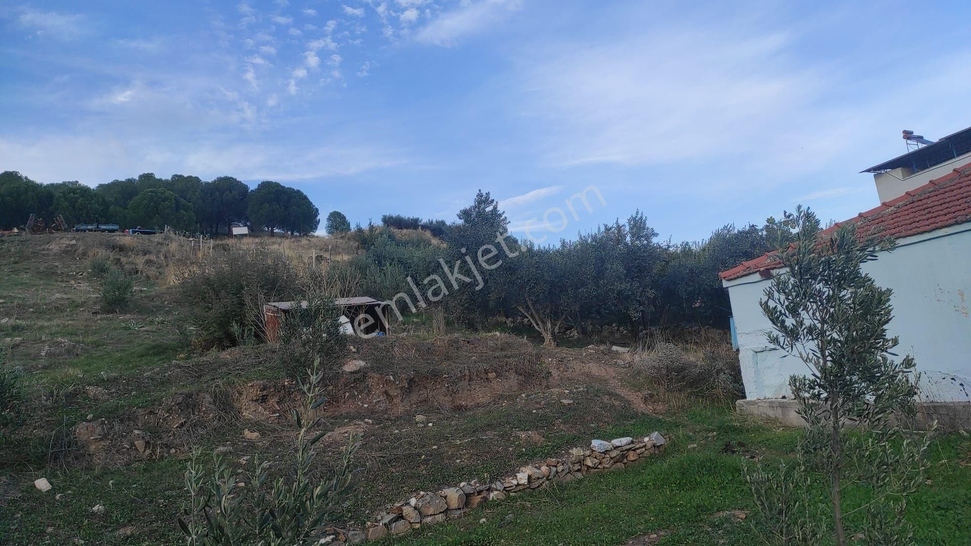 Söke Güllübahçe’de Satılık Müstakil Ev - Görsel 18