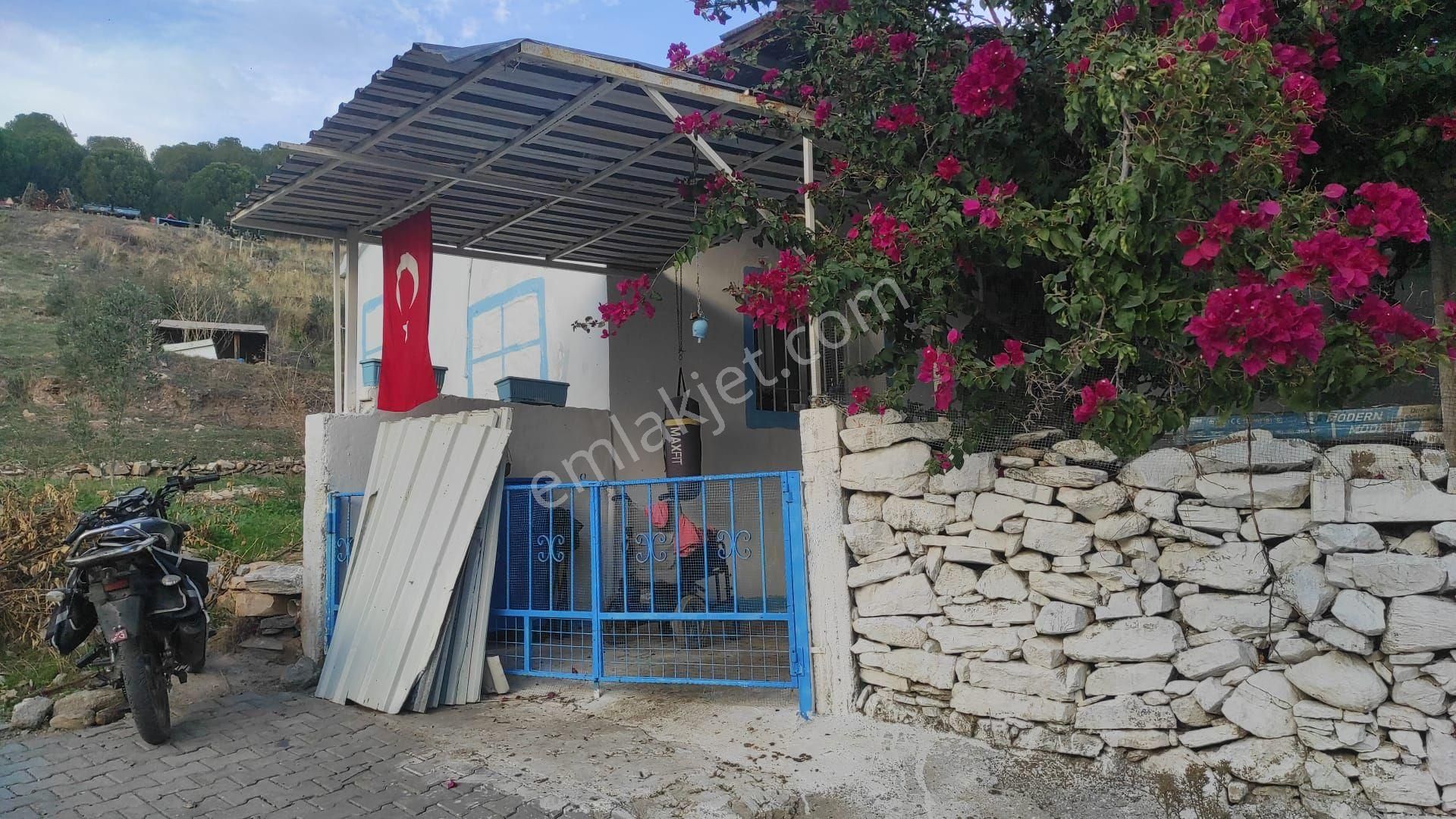 Söke Güllübahçe’de Satılık Müstakil Ev