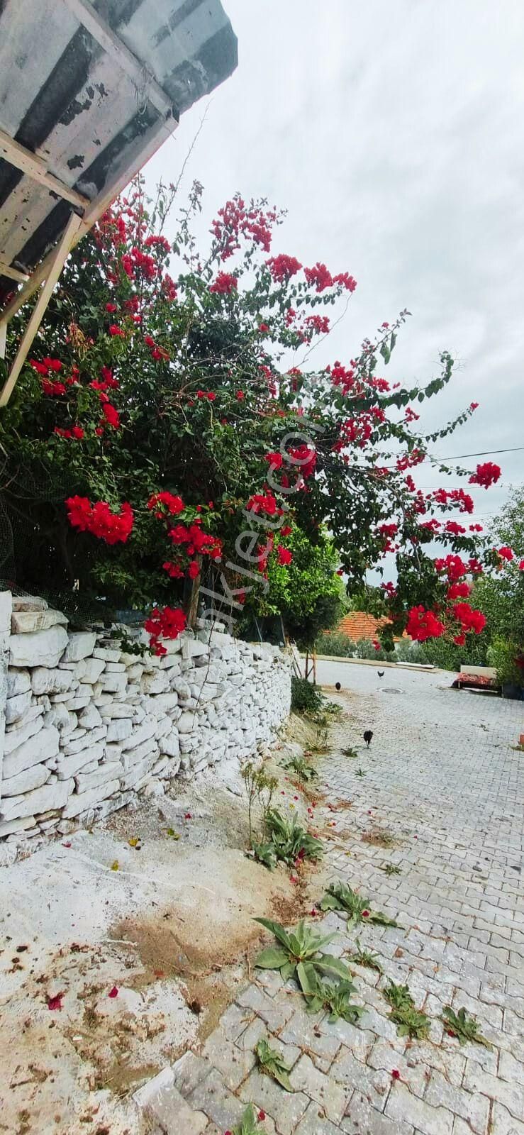 Söke Güllübahçe’de Satılık Müstakil Ev - Görsel 7