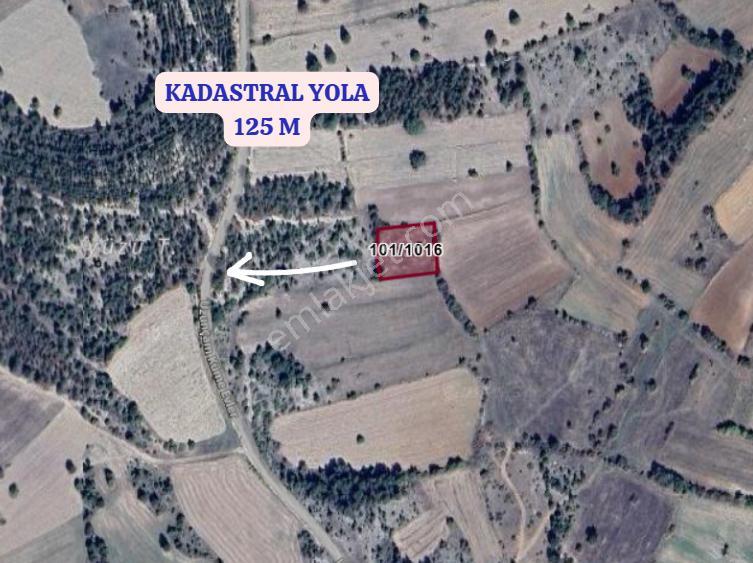 Kütahya Emet Uzunçam Köyünde 1.713 M² Tarla Satılıktır - Görsel 3