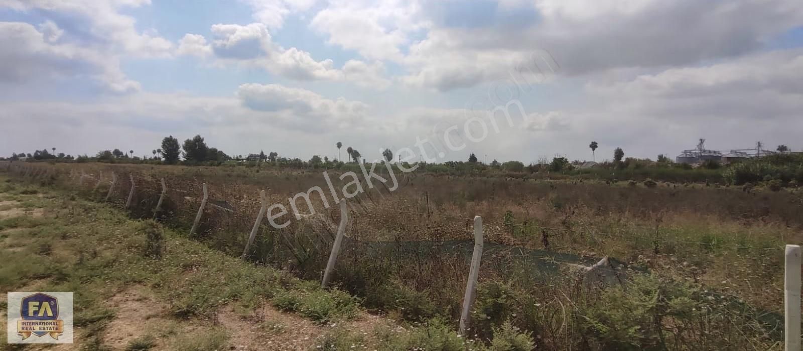 Fa Emlaktan Tarsus Mahmutağada Satılık 24 Dönüm Arsa - Görsel 5