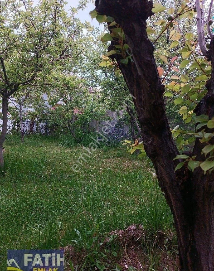 Mollakasım'da Sahile Yürüme Mesafesinde 170 Metre Uzaklıkta Müstakil 500 M2 Bahçeli Prefabrik Ev Sat - Görsel 15