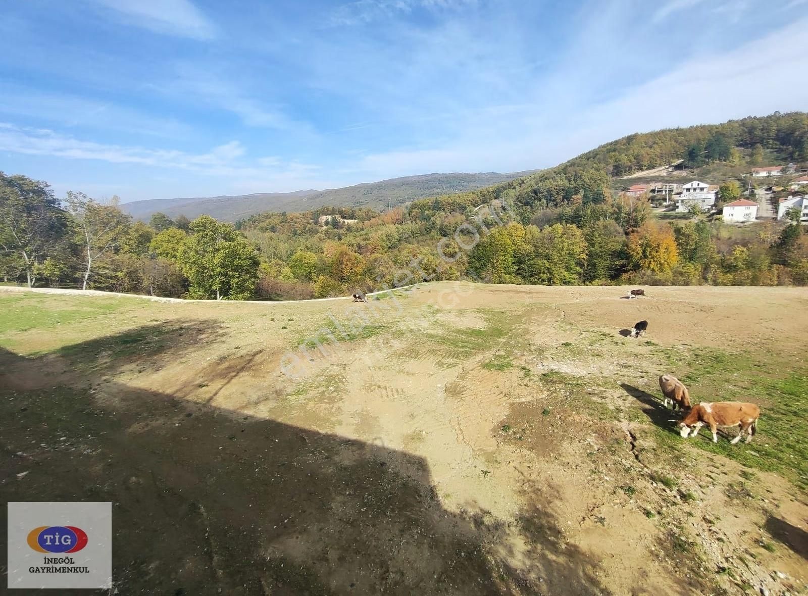Tig'den Mezit De Yatırımlık Villa İmarlı Arsa - Görsel 14