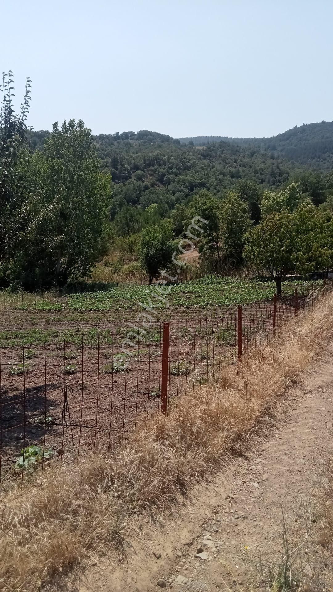 Gölet Manzaralı Tarla - Görsel 5