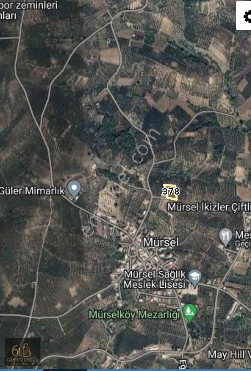 61 Gayrimenkul Den Mudanya Mürsel De Zeytinlik Tarla - Görsel 2