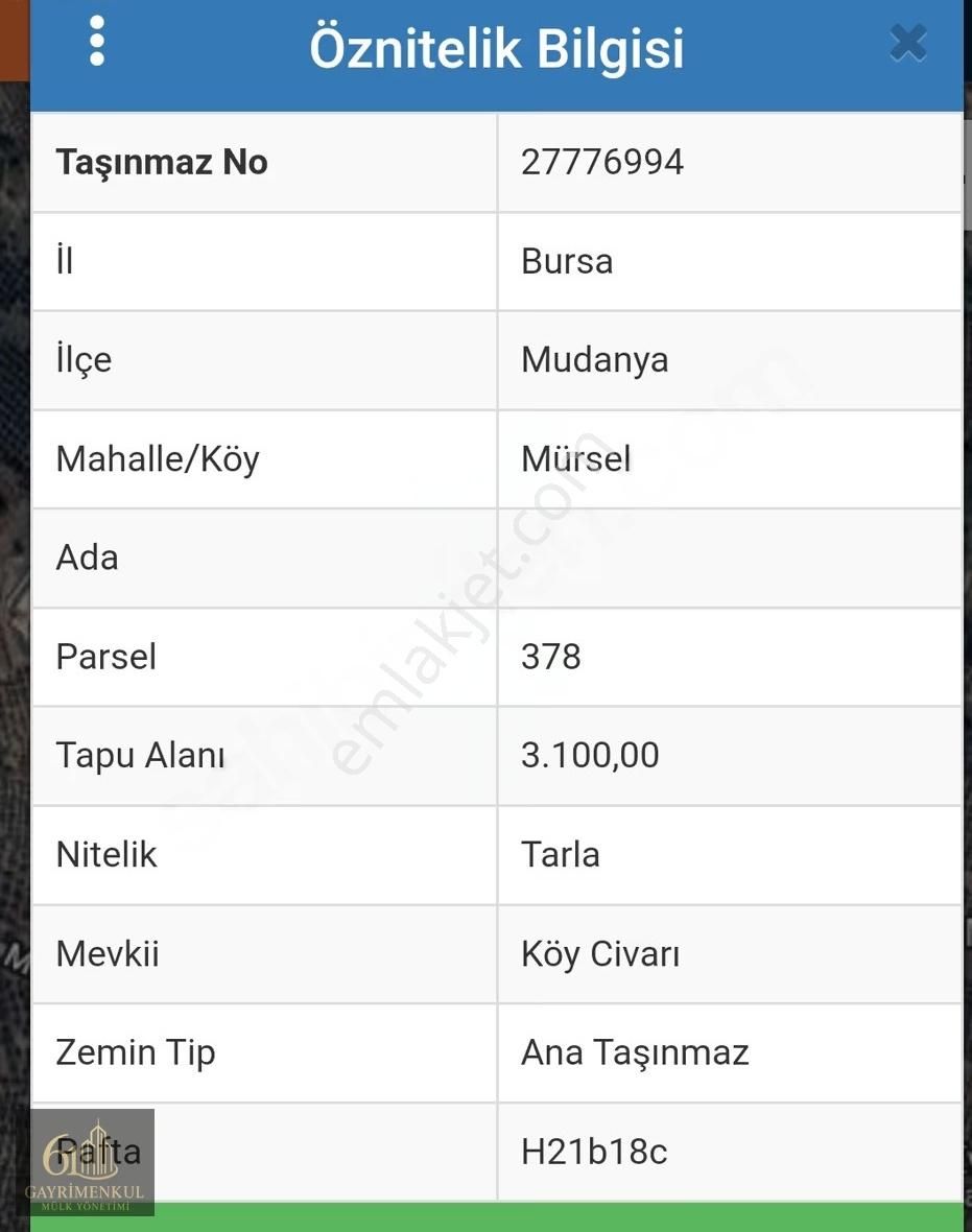 61 Gayrimenkul Den Mudanya Mürsel De Zeytinlik Tarla