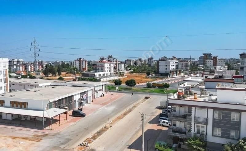 Soğuk Hava Depolu, Yük Asansörlü, 3 Katlı Kiralık Dükkan - Görsel 23