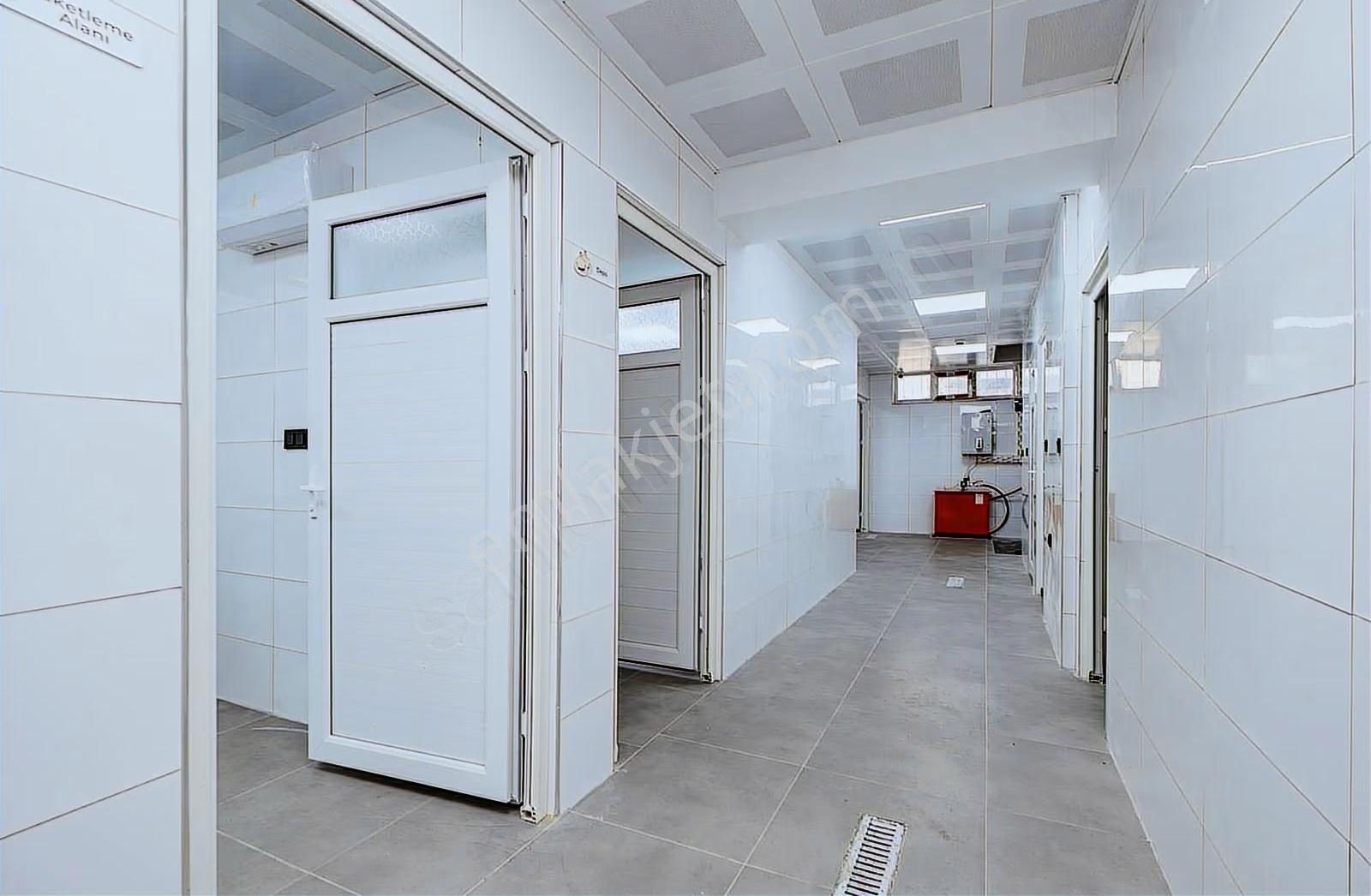 Soğuk Hava Depolu, Yük Asansörlü, 3 Katlı Kiralık Dükkan - Görsel 2