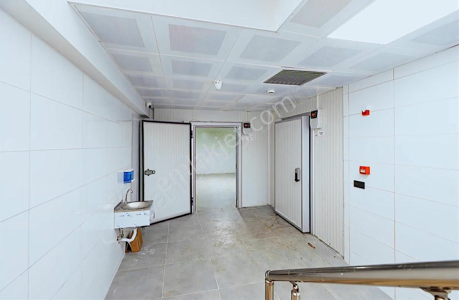 Soğuk Hava Depolu, Yük Asansörlü, 3 Katlı Kiralık Dükkan - Görsel 5