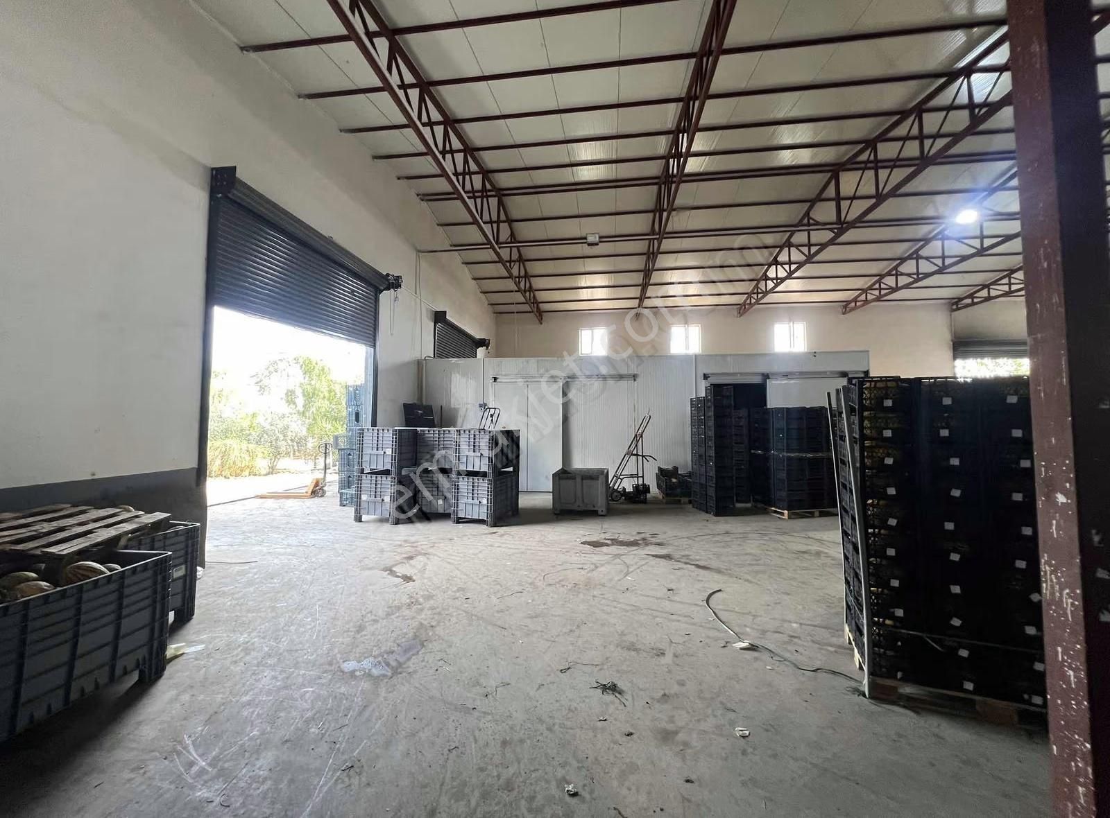 Kiralık Soğuk Havalı 1850m2 Depo - Görsel 15