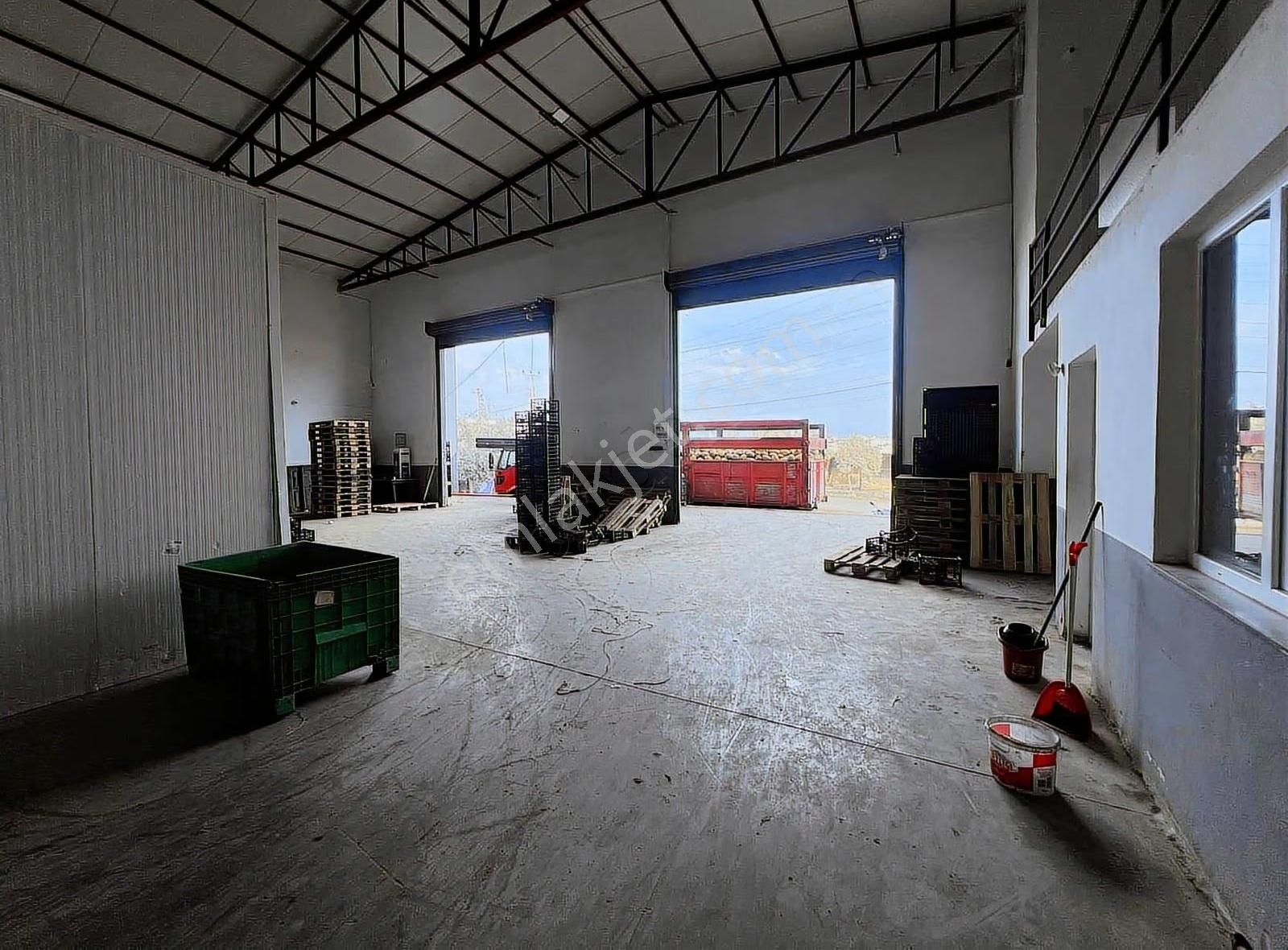 Kiralık Soğuk Havalı 1850m2 Depo - Görsel 3