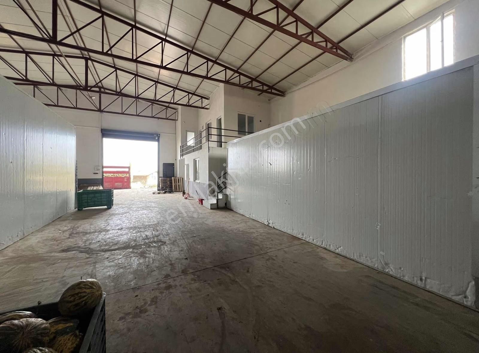 Kiralık Soğuk Havalı 1850m2 Depo - Görsel 20