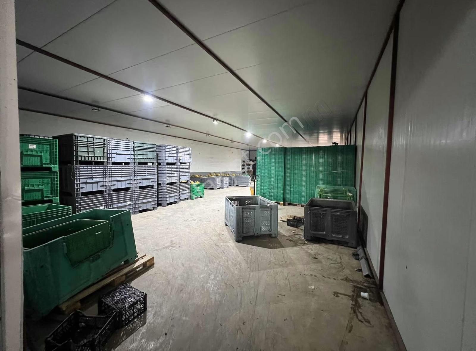 Kiralık Soğuk Havalı 1850m2 Depo - Görsel 7