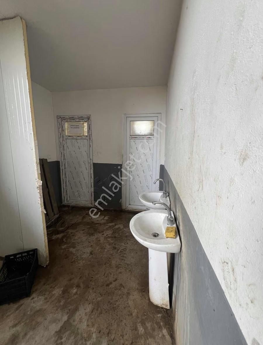 Kiralık Soğuk Havalı 1850m2 Depo - Görsel 11