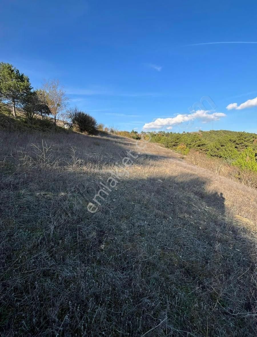 Hacı Yakup Paşalarda Doğa Harikası - Görsel 6