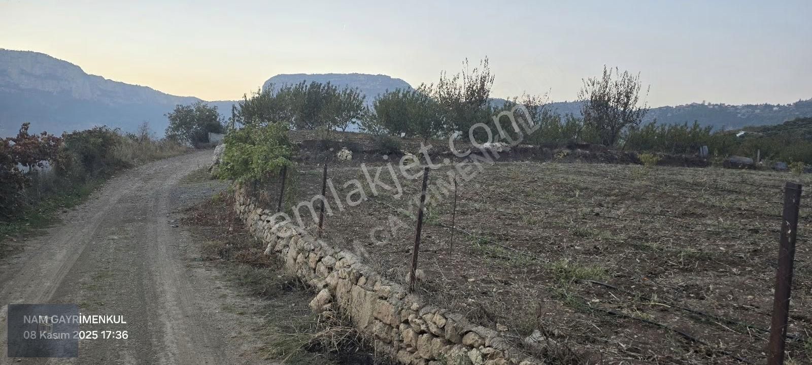 Çukurkeşli Mah Emsali Olmayan Tek Tapu Satılık Şeftali Bahçesi - Görsel 28