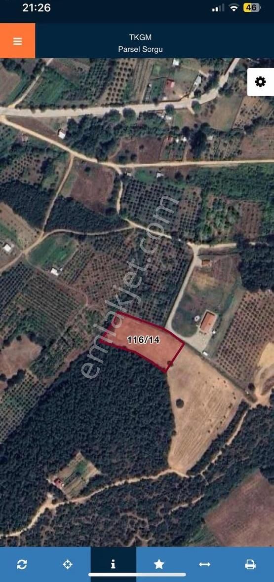 İnegöl Akıncılarda Müthiş Tarla - Görsel 3