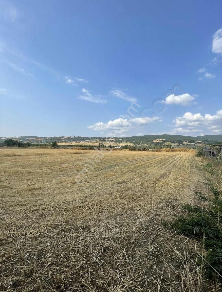 İnegöl Süpürtü De Uygun Tarla - Görsel 2