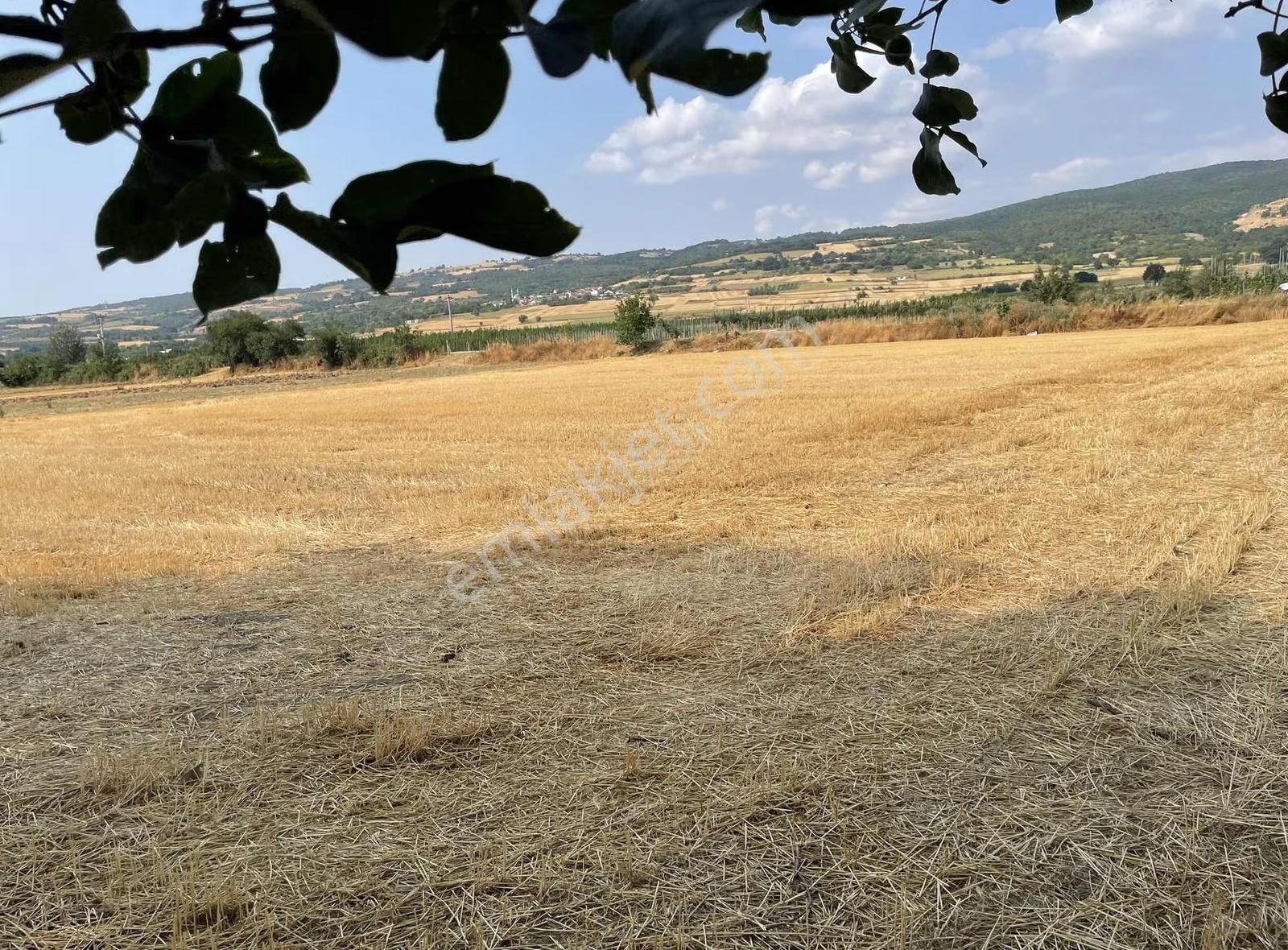 İnegöl Süpürtü De Uygun Tarla - Görsel 6