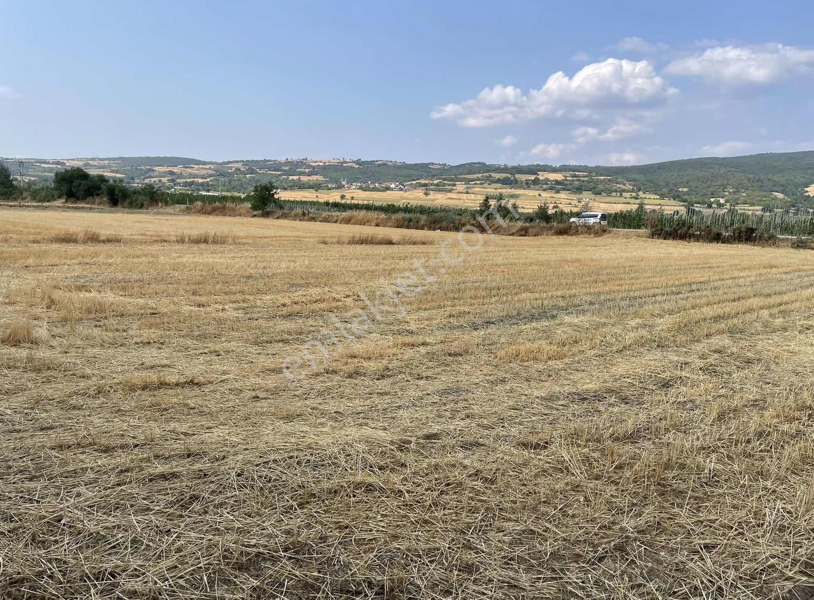 İnegöl Süpürtü De Uygun Tarla - Görsel 7