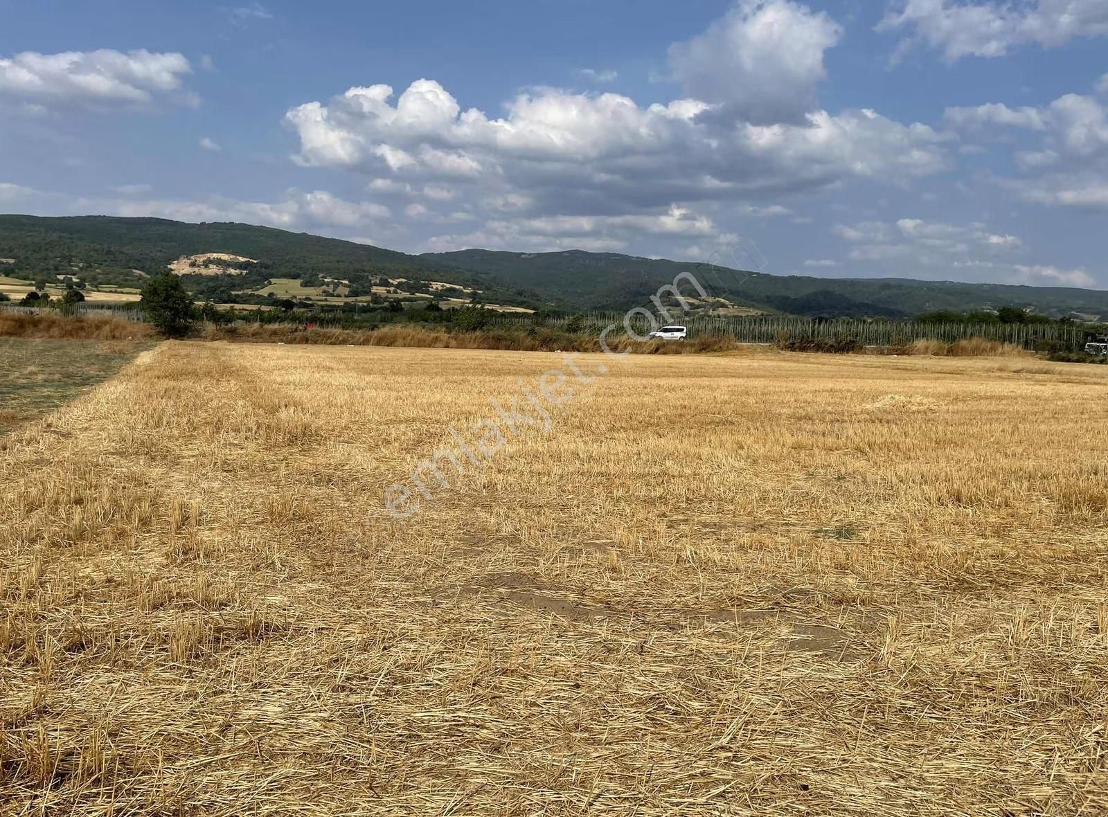 İnegöl Süpürtü De Uygun Tarla - Görsel 3