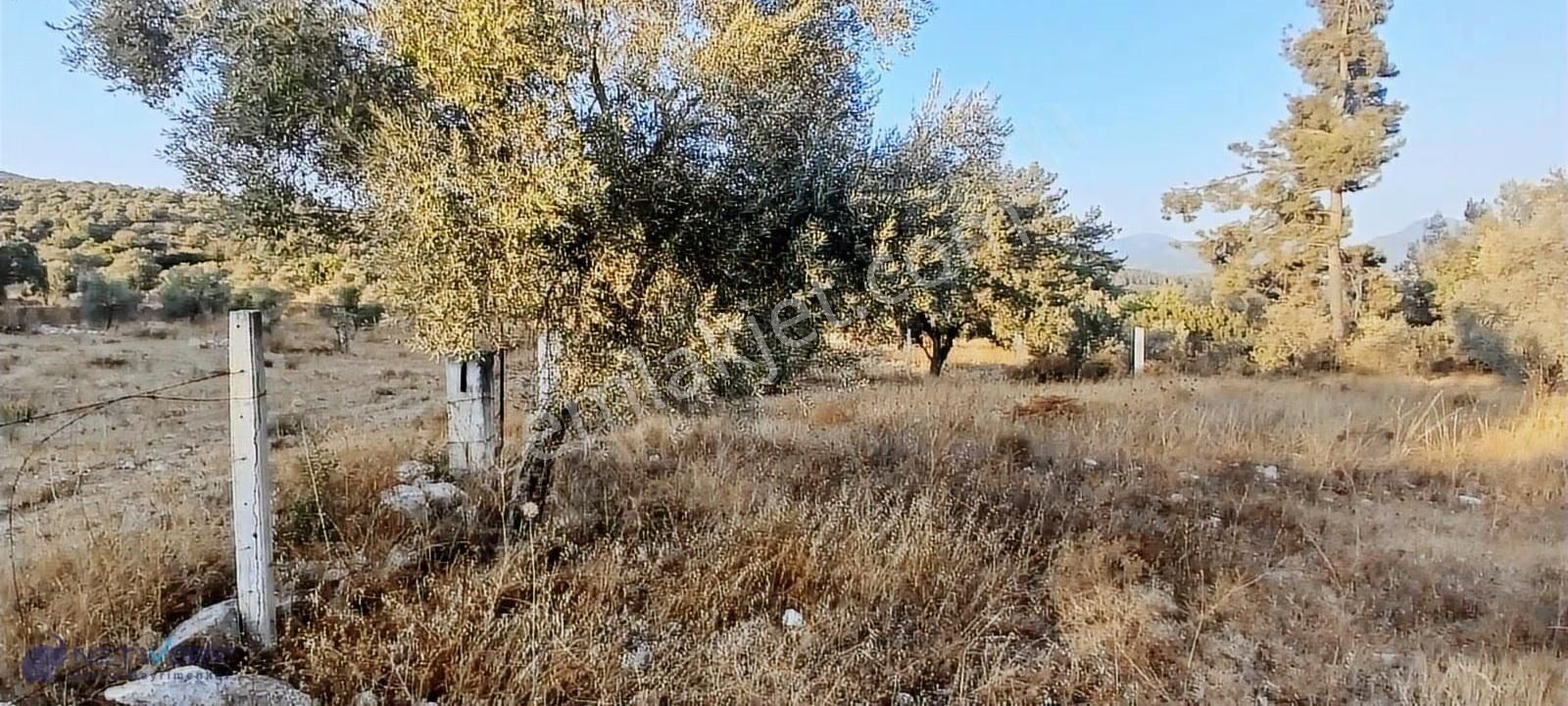 Kazanç Potansiyeli Yüksek! Alaçamda 2.448 M² Tarla - Görsel 3