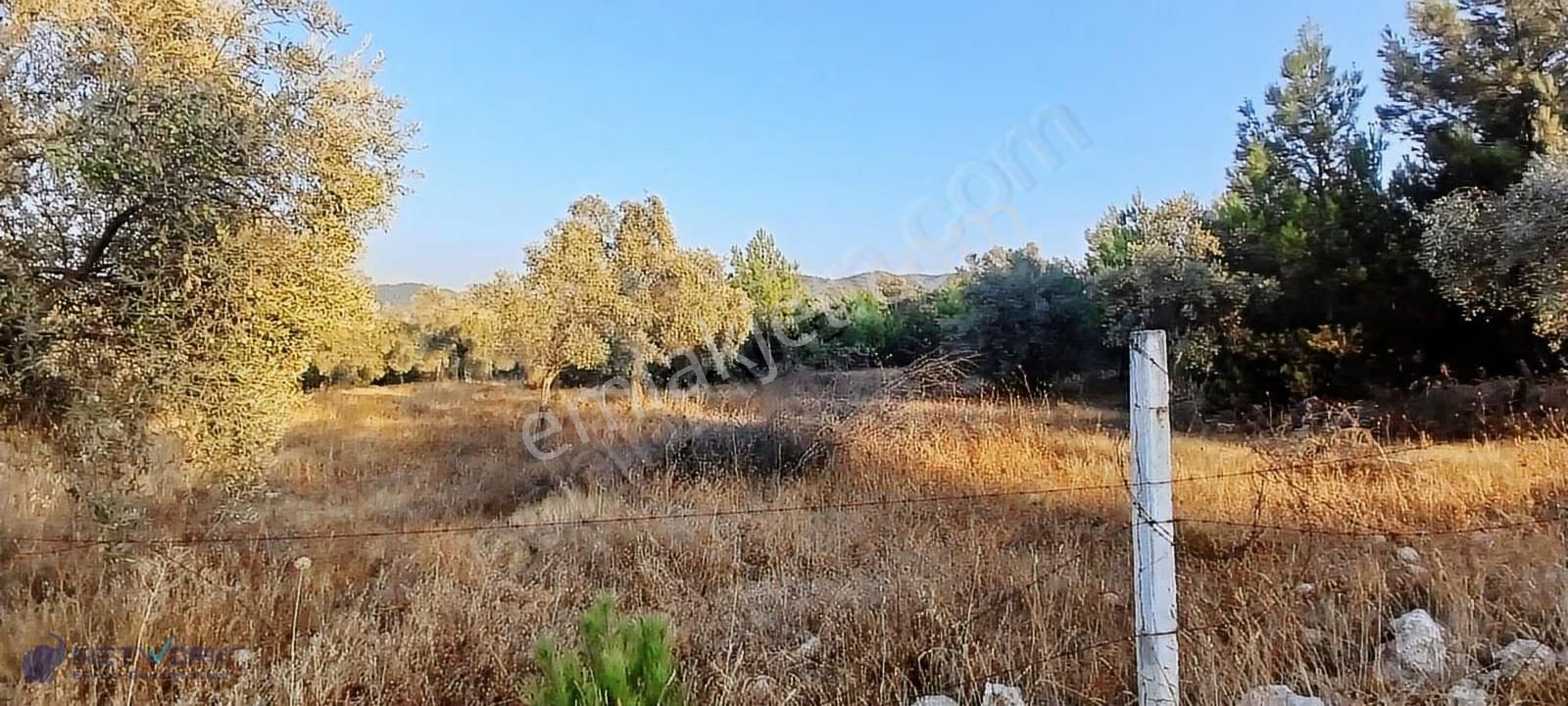 Kazanç Potansiyeli Yüksek! Alaçamda 2.448 M² Tarla - Görsel 5